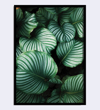 Load image into Gallery viewer, Poster Prints A Sizes (Yupo)