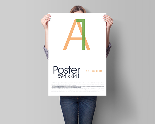 A Guide to Standard Poster Sizes and Framing Options